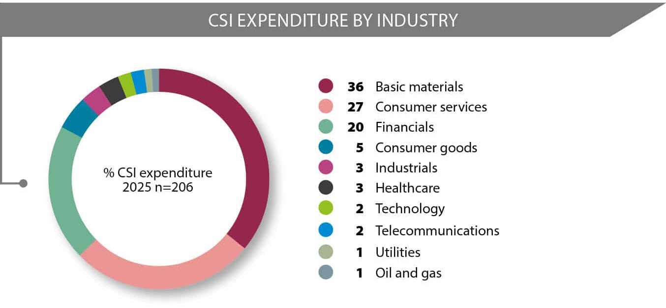 Csi Graph State of CSI in South Africa - Trialogue Knowledge Hub | Resources for ...