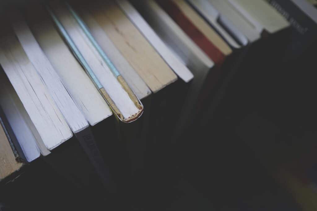 From bad to best – how Sobral and Ceará rewrote Brazil’s education story books, education, knowledge, library, literature, study, textbooks, read, reading, bookworm, books, books, books, education, education, education, library, library, library, library, study, study, study, study, study, reading, reading