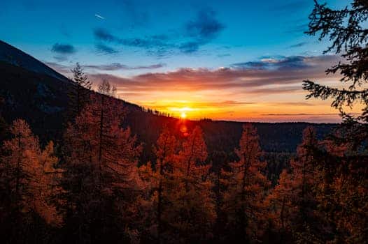 The context of literacy in South Africa Stunning sunrise view over autumn forest in Vysoké Tatry, Slovakia.