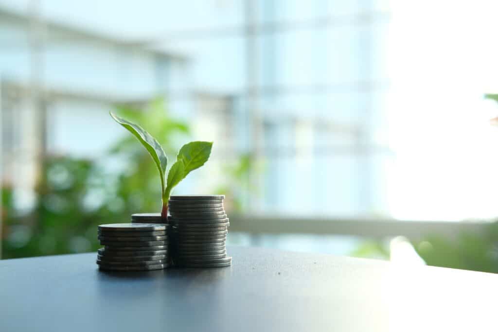 Can South African companies become impact investors? A small plant sprouting from stacked silver coins, symbolizing growth in finance.