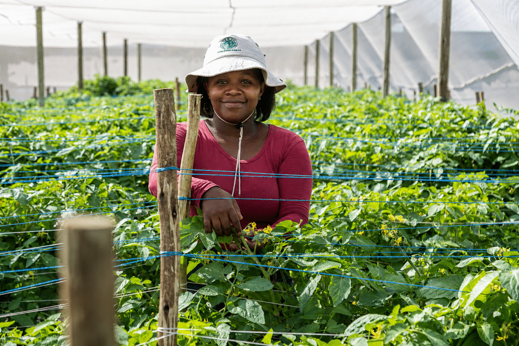 Beyond projects: Building integrated community impact around operations